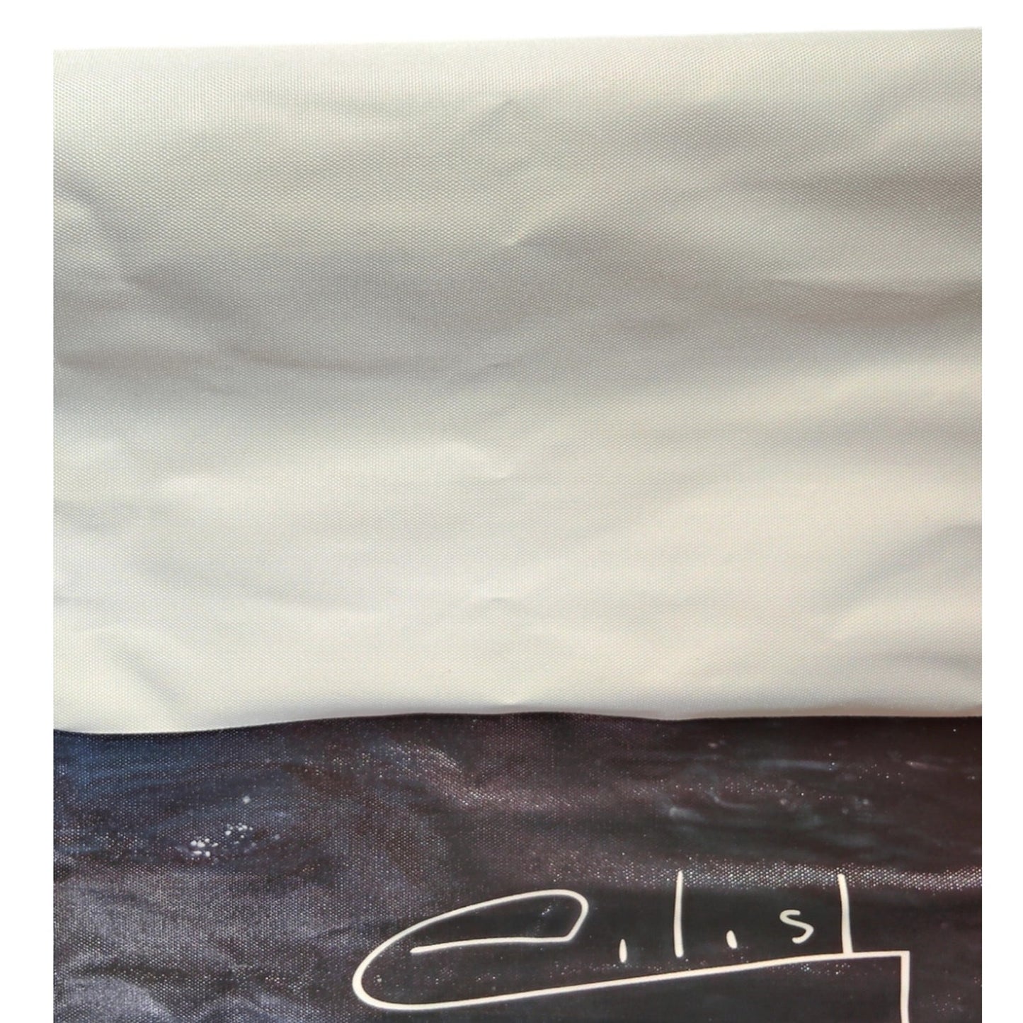 Eilish No.2 Canvas Art Print – Billie Eilish, 16" x 24" Unframed, Music Décor
