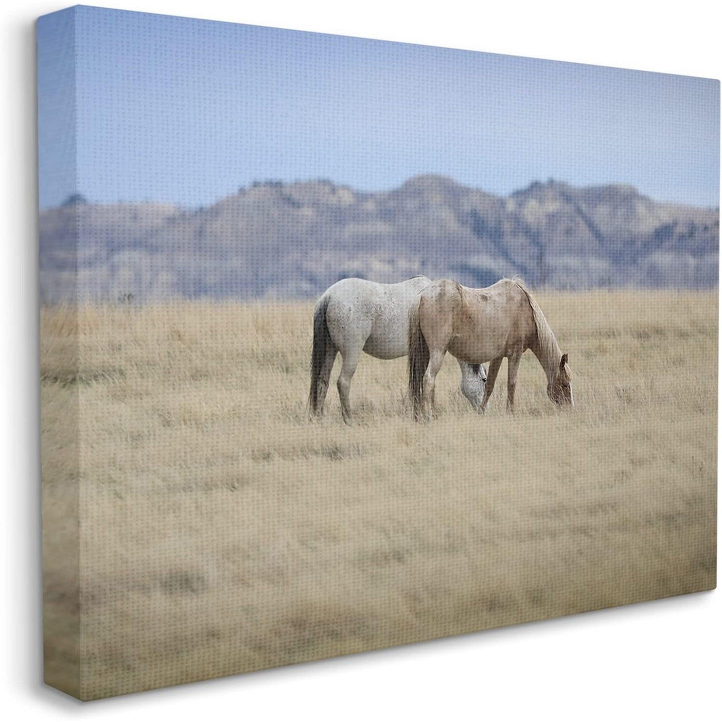 20x16 Grazing Wild Horses Stretched Canvas, Wood Frame Wall Art Design/D. Sproul