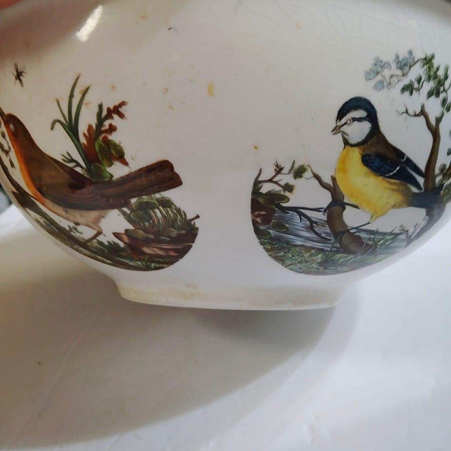 Portmeirion Birds of Britain Large 10” Fruit Salad Serving Bowl – England 1978