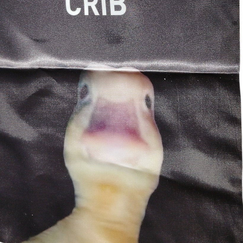 Welcome to My Crib Duck Wall Tapestry 12×18 in Double‑Sided Hanging Banner
