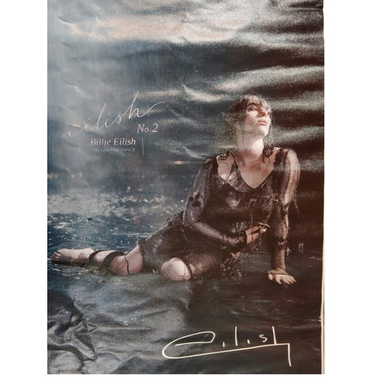 Eilish No.2 Canvas Art Print – Billie Eilish Poster, 16" x 24" Unframed, Music Wall Décor