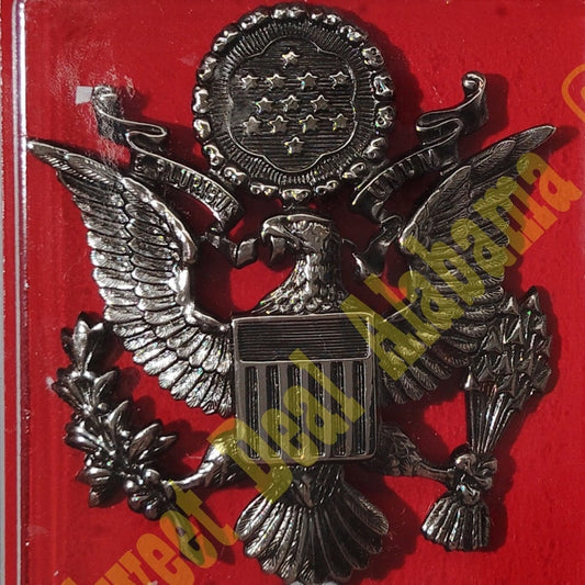 Vanguard USAF Cap Device Pin: High Relief: Officer - Female, 2-1/2"H x 2-1/4"W