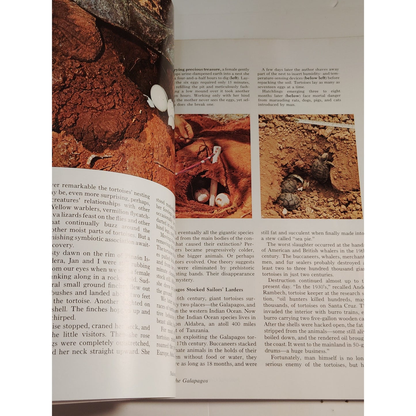 National Geographic – November 1972, Venice, Galápagos, Monterey Peninsula