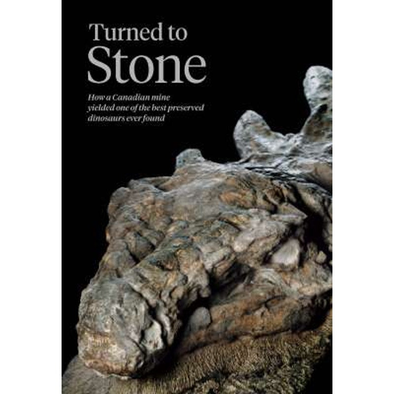 National Geographic June 2017, Why We Lie, Carved by Lava, Haiti, Philippines ..