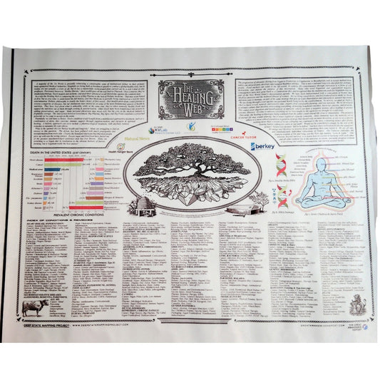 The Healing Web Chart Poster – Natural Remedies Canvas Print, 16x12" Unframed Holistic Wall Art