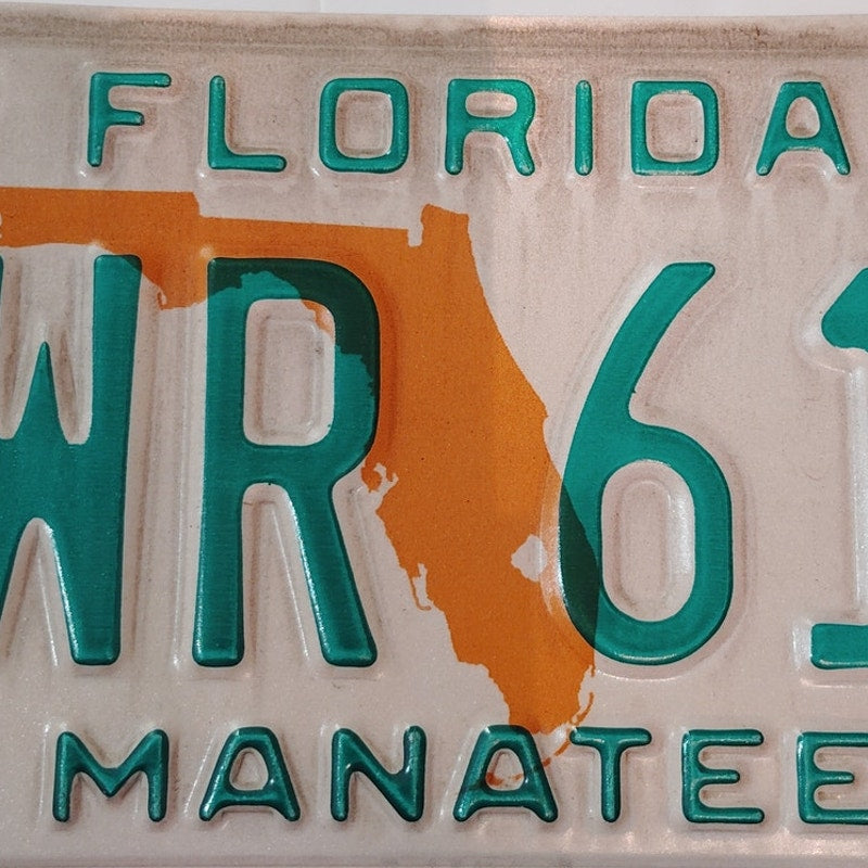 1996 Florida Manatee County License Plate - Vintage NRFL-96 Car Tag Emblem