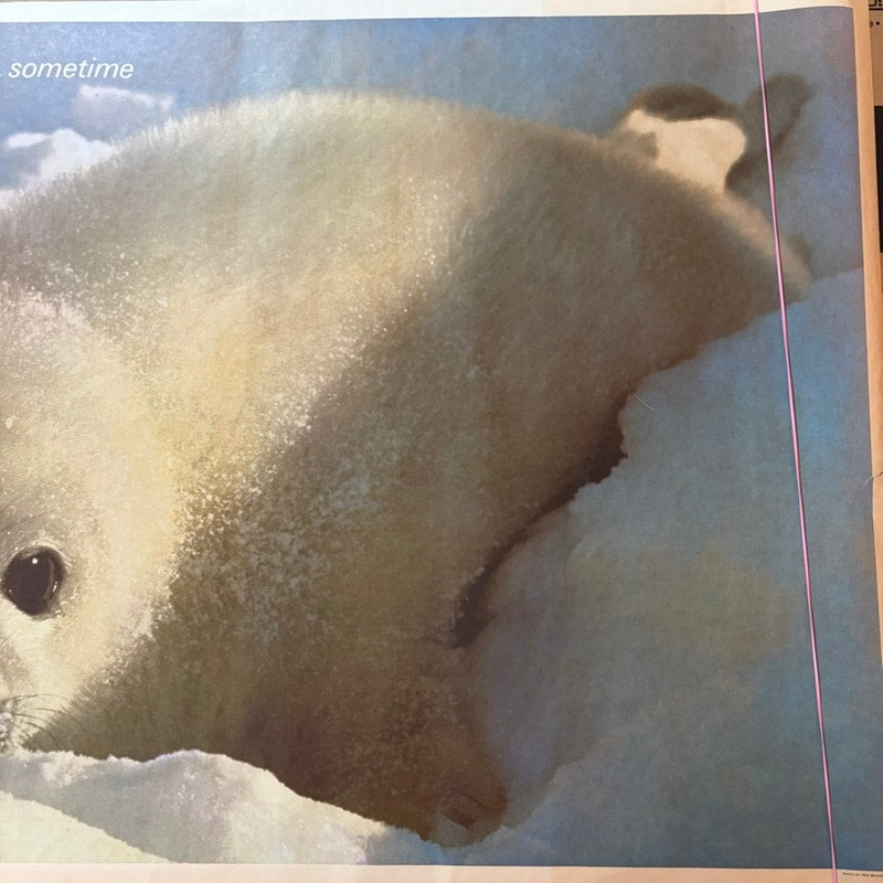 VTG 1970s Baby Seal "Everybody Needs Somebody...Sometime" 36" x 24" Poster
