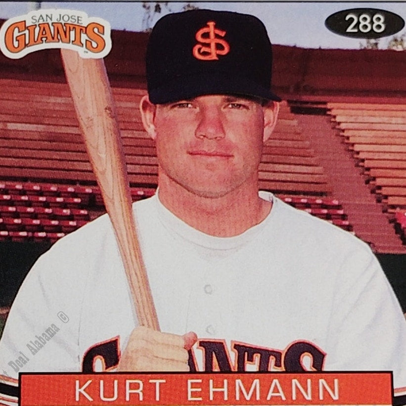 Kurt Ehmann, San Jose Giants, #288, 93-94 Fleer Excel Minor Leagues