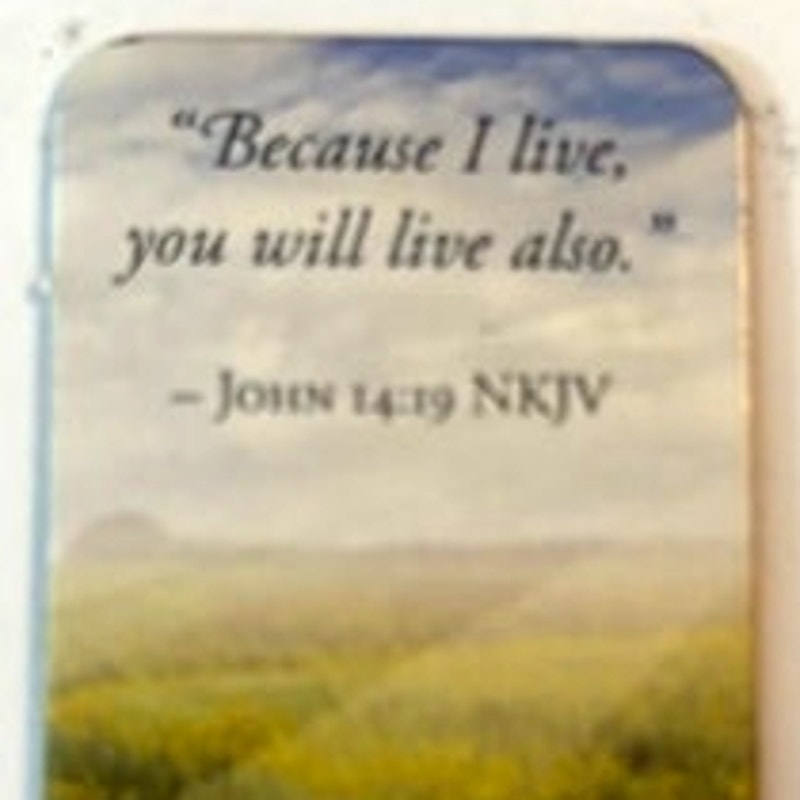 Christian Scripture Fridge Magnet John 14:19 Wildflower Meadow Guideposts 2x1.25
