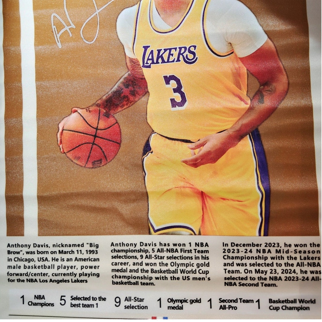 16x24" Anthony Davis Los Angeles Lakers Canvas Print Poster – Basketball Wall Art (Unframed)