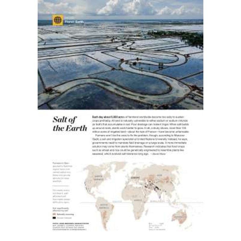 National Geographic May 2015, Dolphins, Detroit, Super Bee, Mekong, France/Spain