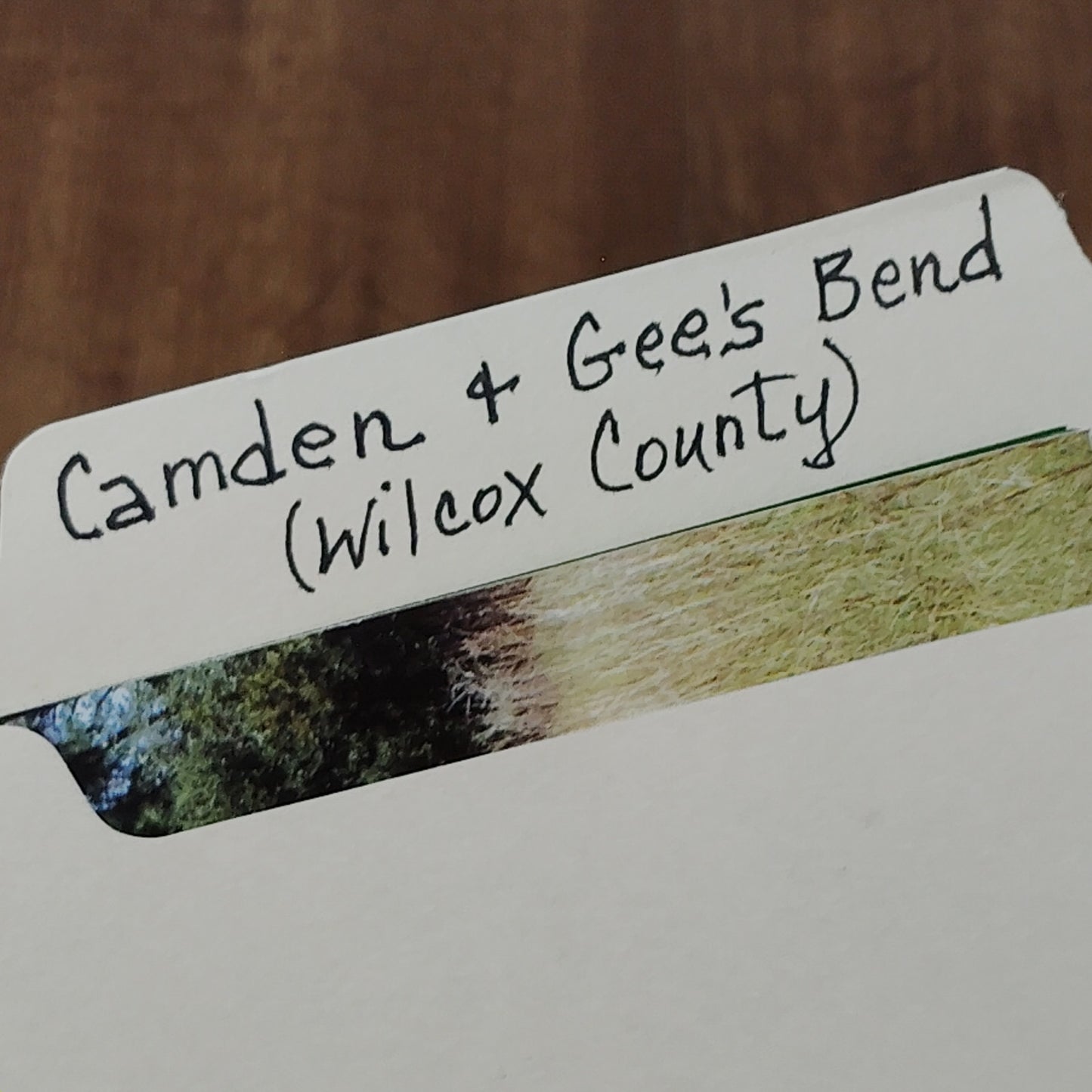 Wilcox County Alabama Travel & Heritage Ephemera Collection- Camden & Gee's Bend