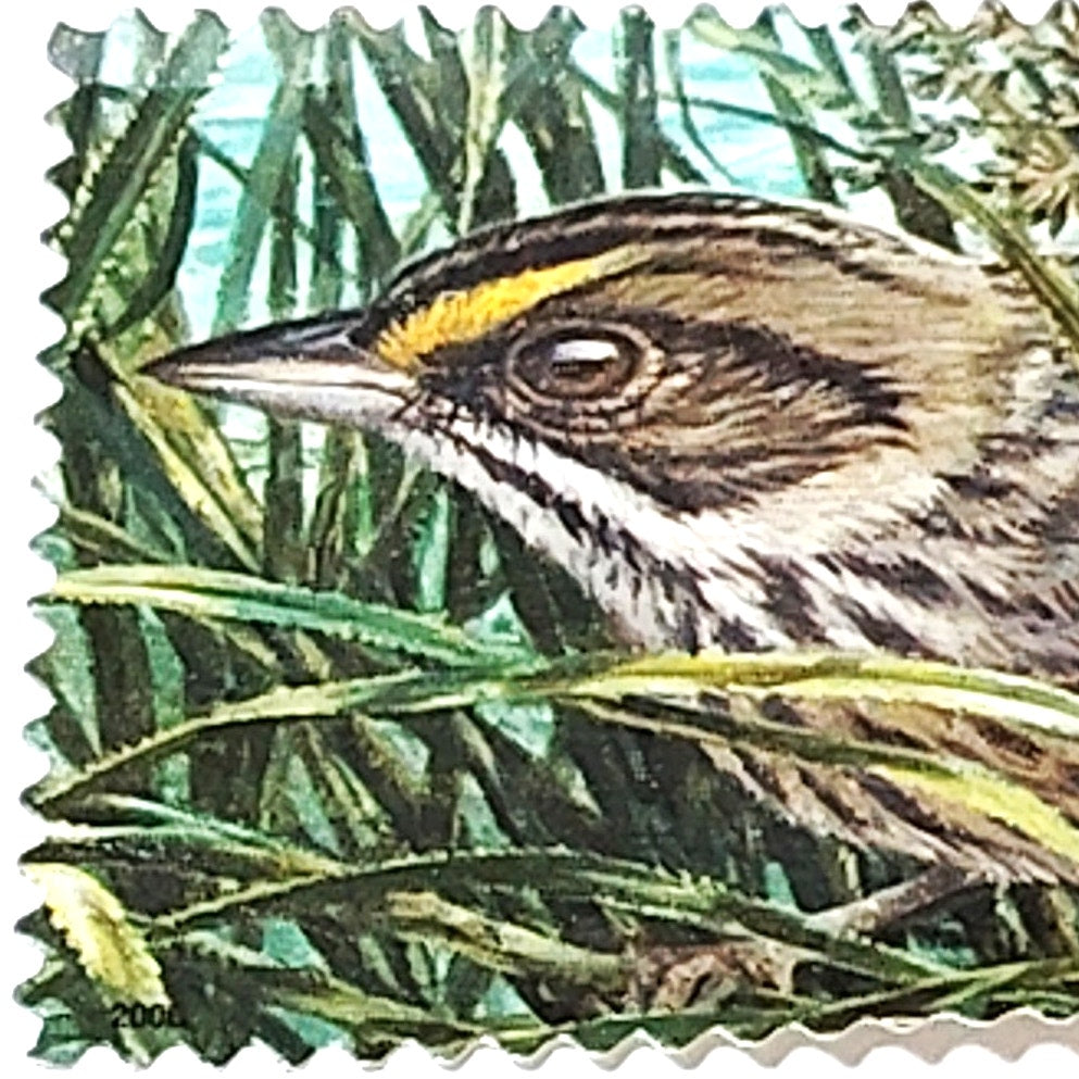 USPS 39 Cent Southern Florida Wetland Stamp - Cape Sable Seaside Sparrow