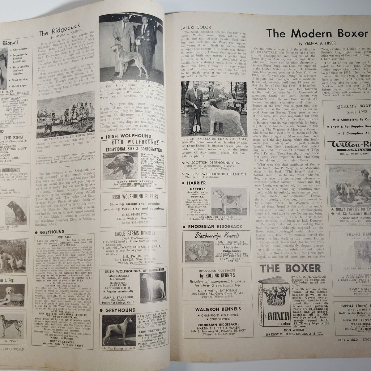 Dog World Magazine December 1965 50th Anniversary Bulldog Cover Vintage
