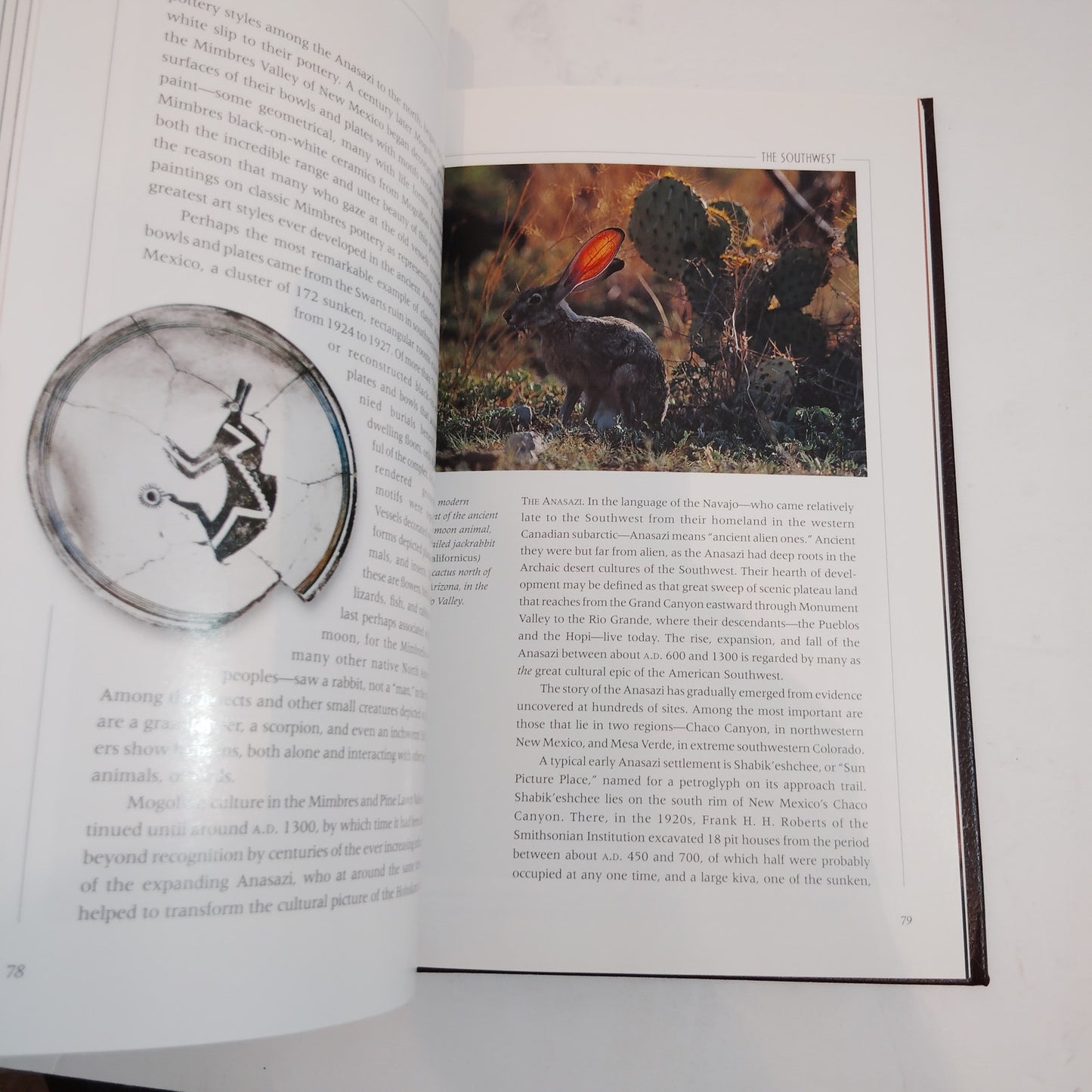 Ancient Pioneers: The First Americans by George E. Stuart -VTG National Geo 2001
