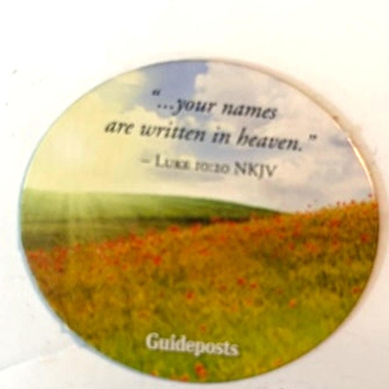 Christian Scripture Fridge Magnet Luke 10:20 Oval Meadow Guideposts 2x1.75