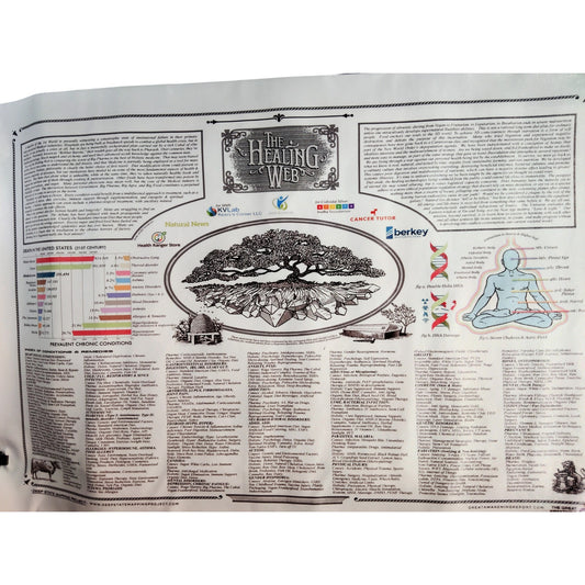 The Healing Web Chart Poster – Natural Remedies Canvas Print, 16x24" Unframed, Holistic Wall Art