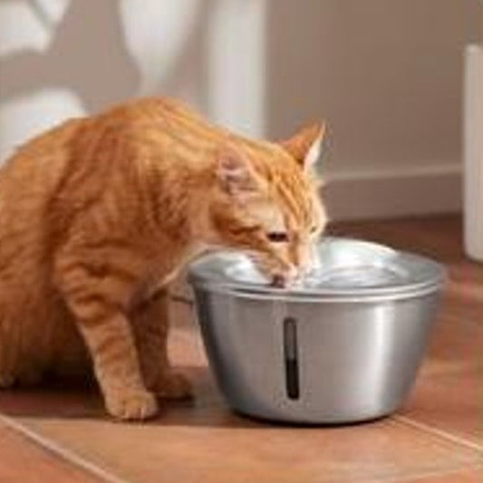 Frisco Stainless Steel Heart Pet Fountain – 100-oz Circulating Water Bowl