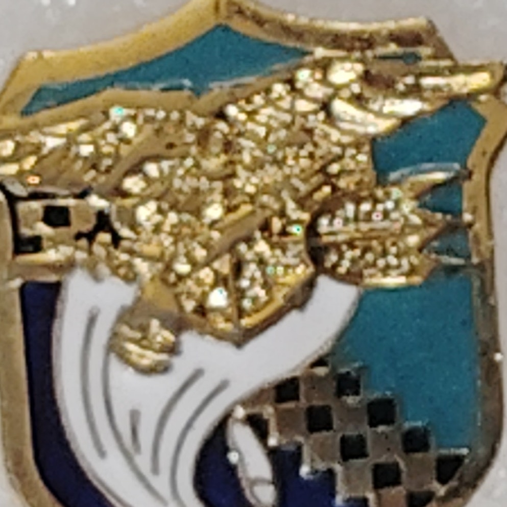 U.S. Navy SEAL CAG Novelty Hat/Lapel/Brooch Pin, Enamel Metal, Rubber Back