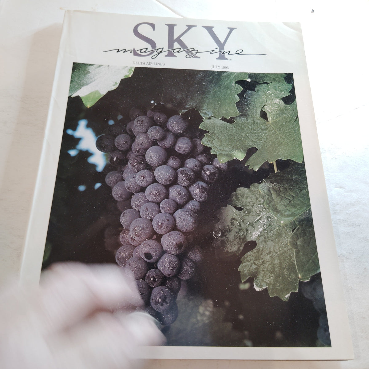 Delta SKY Magazine - July 1993 - Vintage In-Flight Travel & Lifestyle In-flight