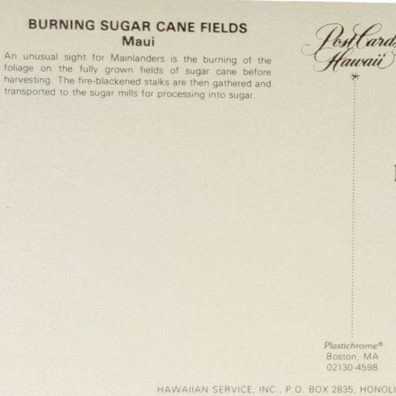 Burning Sugar Cane Fields, Maui, Hawaii, 3.5" x 5.5", Vintage Postcard 60's/70's