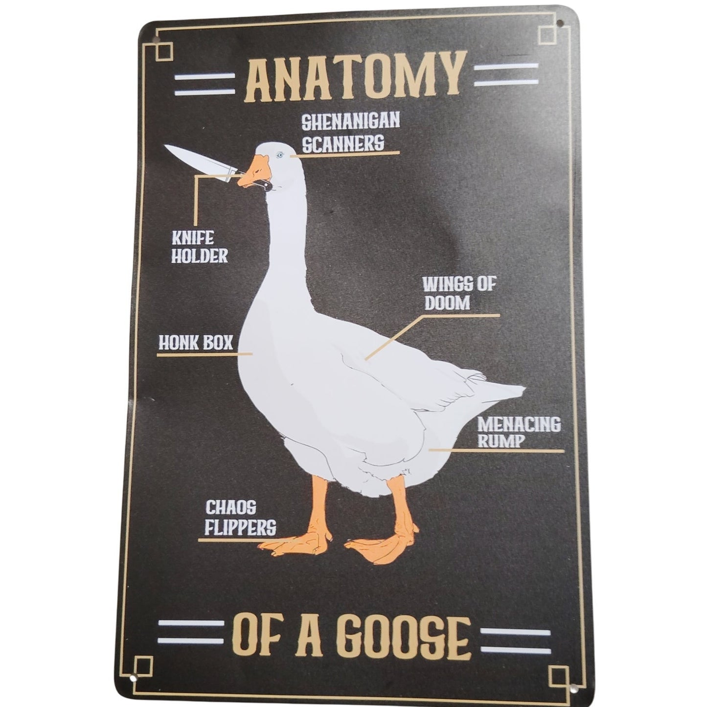 Anatomy of a Goose 12x8 Retro Tin Sign – Funny Goose Diagram – Chaos Flippers & Honk Box Humor