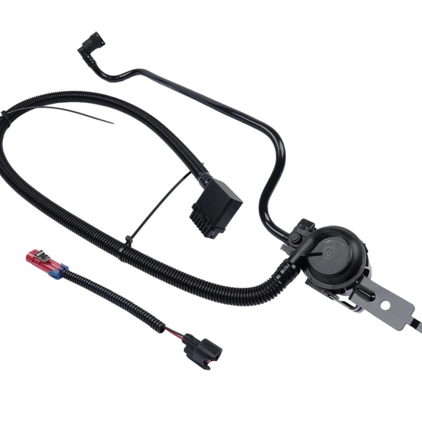 Carquest MotoRad Canister Purge Solenoid – CPP1005, OE Emissions Control Valve