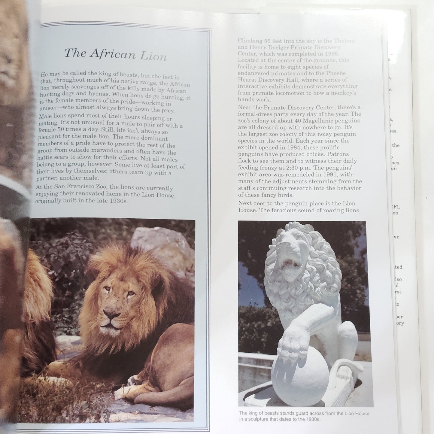 American Zoos 1992 Hardcover Wildlife Photography Book 12.5" x 10.75"