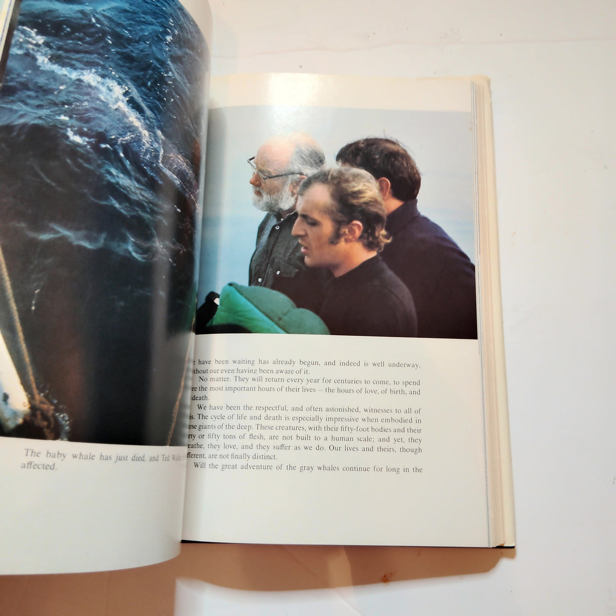 The Whale Mighty Monarch of the Sea 1972 Cousteau Hardcover Excellent One-Owner