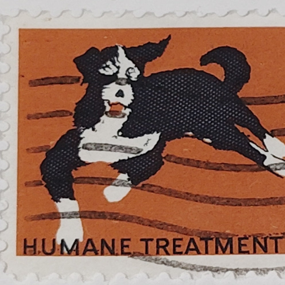 1966 Scott #1307 – 5¢ Humane Treatment of Animals / ASPCA Centennial