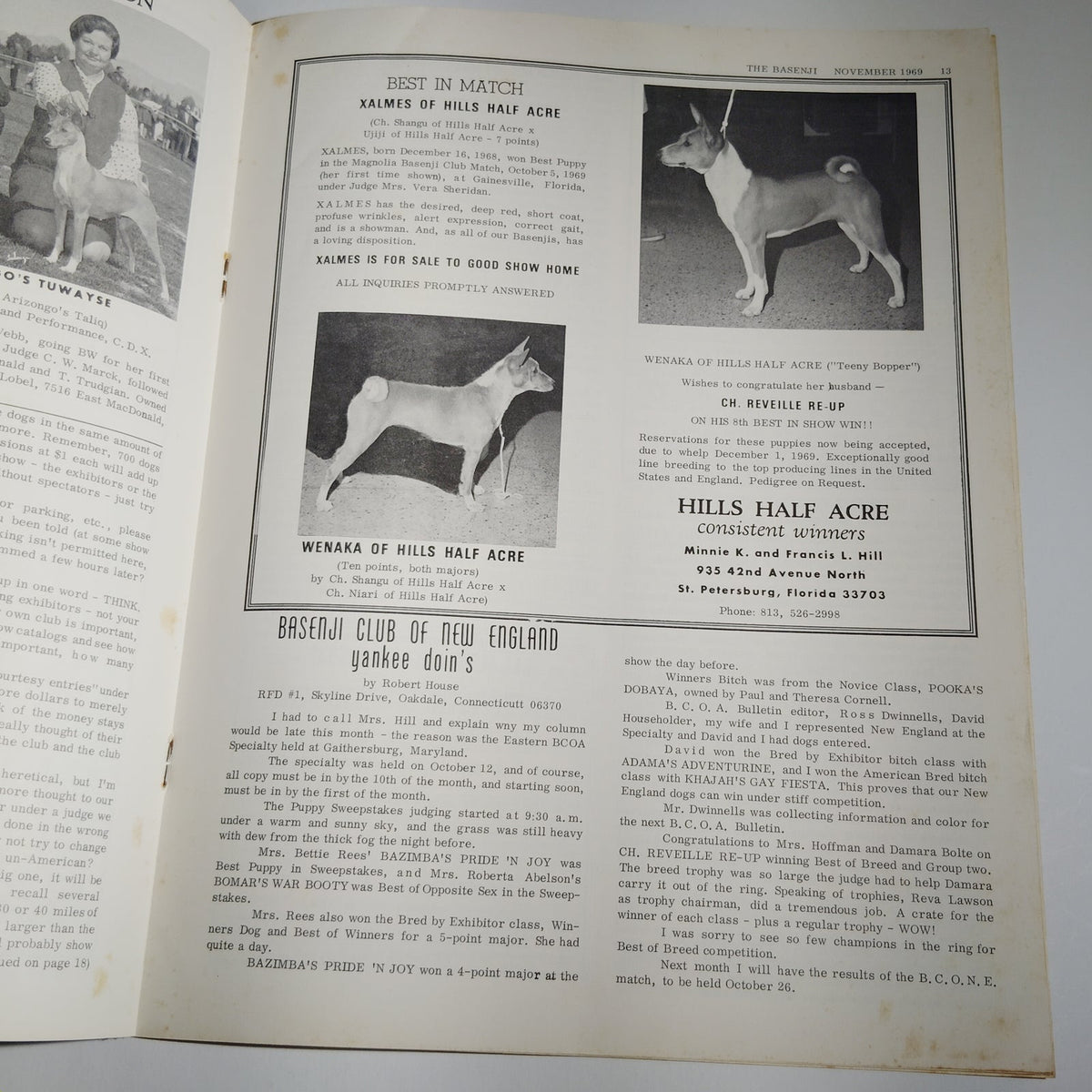 Vintage The Basenji Magazine November 1969 Vol VI No 11 Champion Ubombo