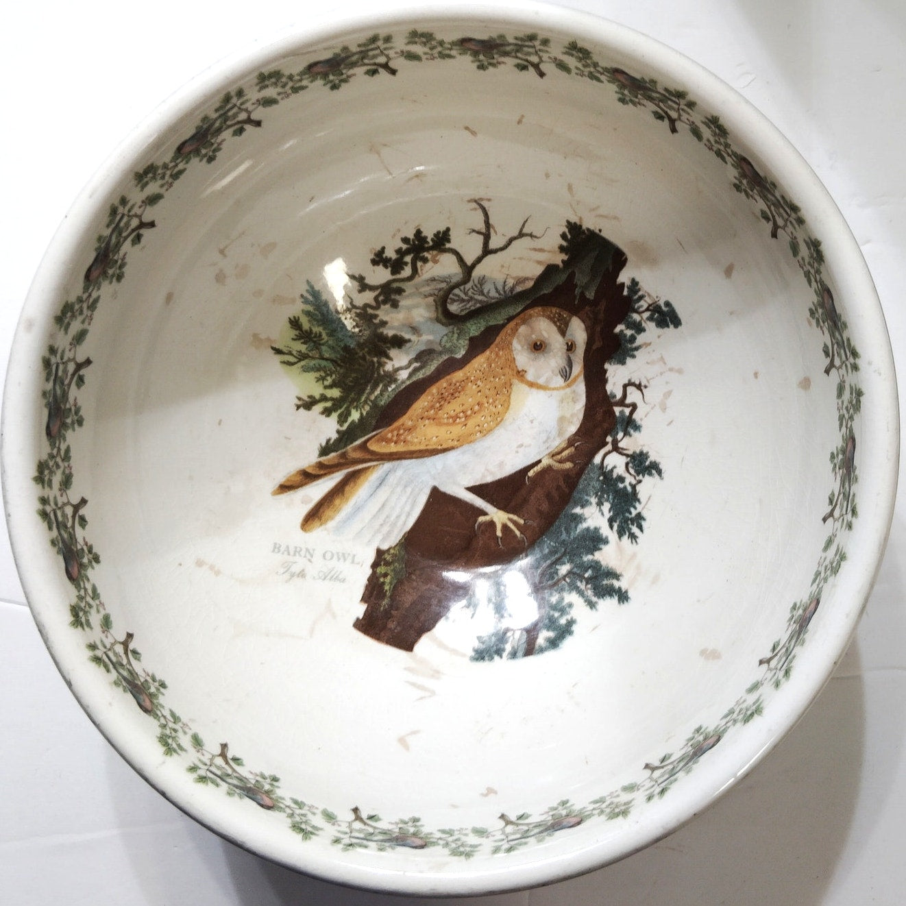 Portmeirion Birds of Britain Large 10” Fruit Salad Serving Bowl – England 1978