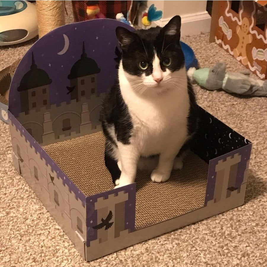 2-PK Boots & Barkley Castle Theme 15" Cardboard Cat Scratcher Pad –Castle Design