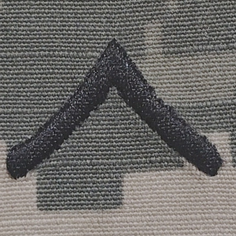 U.S. Army Private PV2 Patch ACU Digital, 2"×2" Hooked Device – E-2
