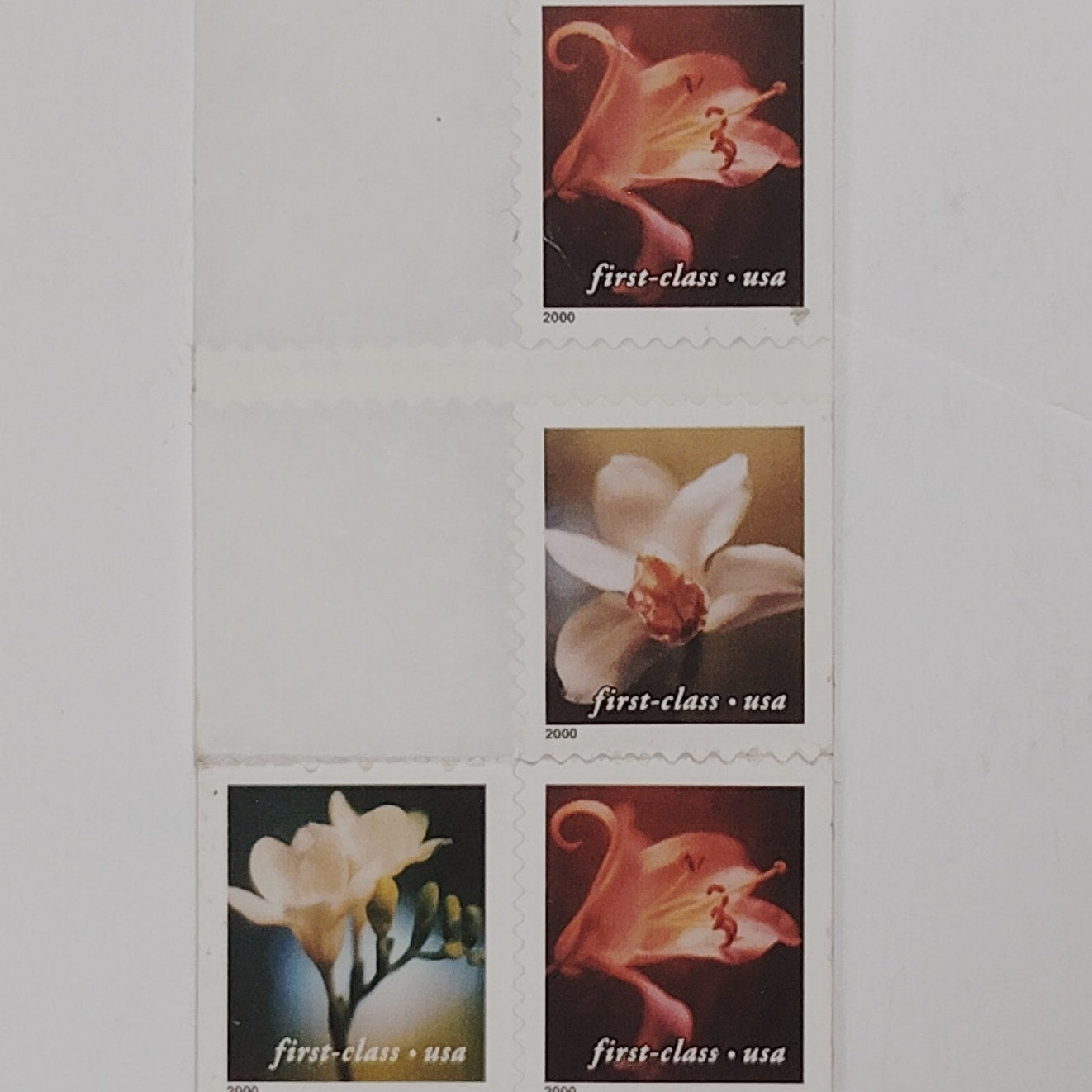 2000 Four Flowers Stamps – Lot of 11/20 – 34¢ – MNH – Photographic USPS Booklet