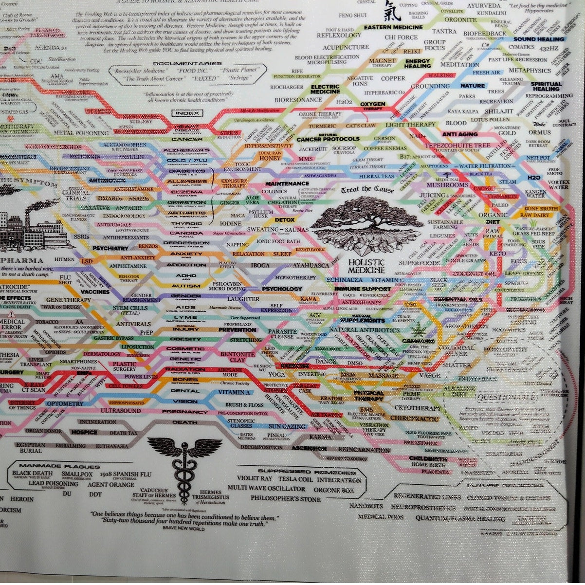 Big Pharma vs. Holistic Medicine Canvas Print – Conspiracy Infographic Wall Art (18x12")