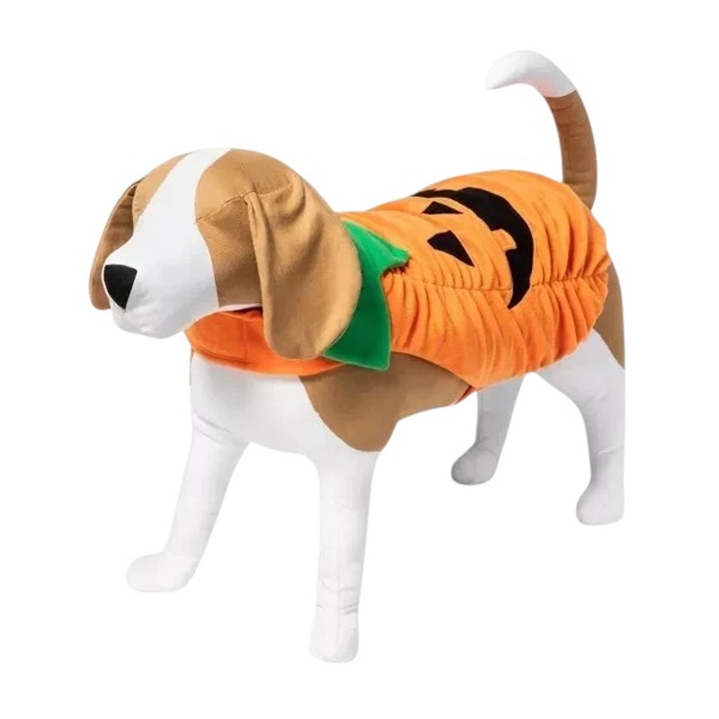 Hyde & EEK! Boutique Halloween Pumpkin Full Body Dog Costume – Size M