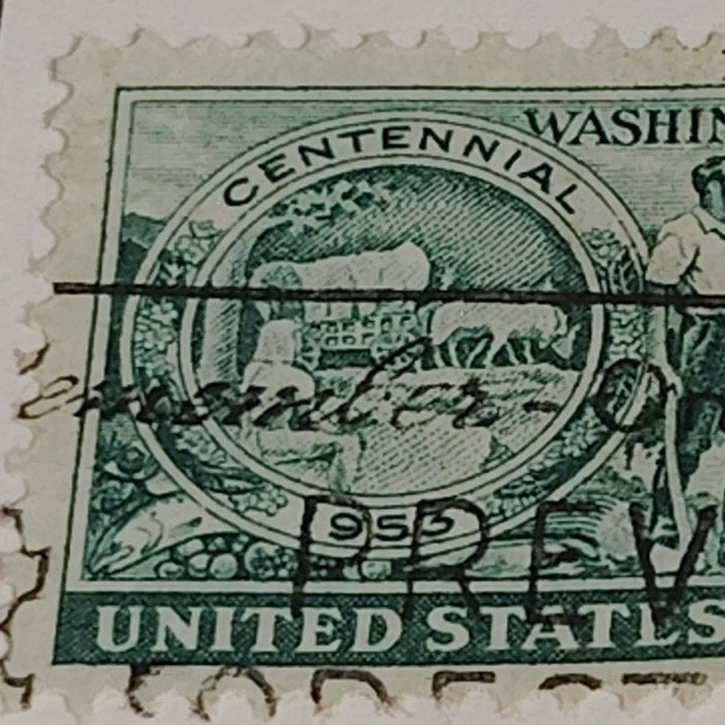 1953 3¢ Washington Territory Centennial Stamp – Scott 1019 – Pioneer Scene
