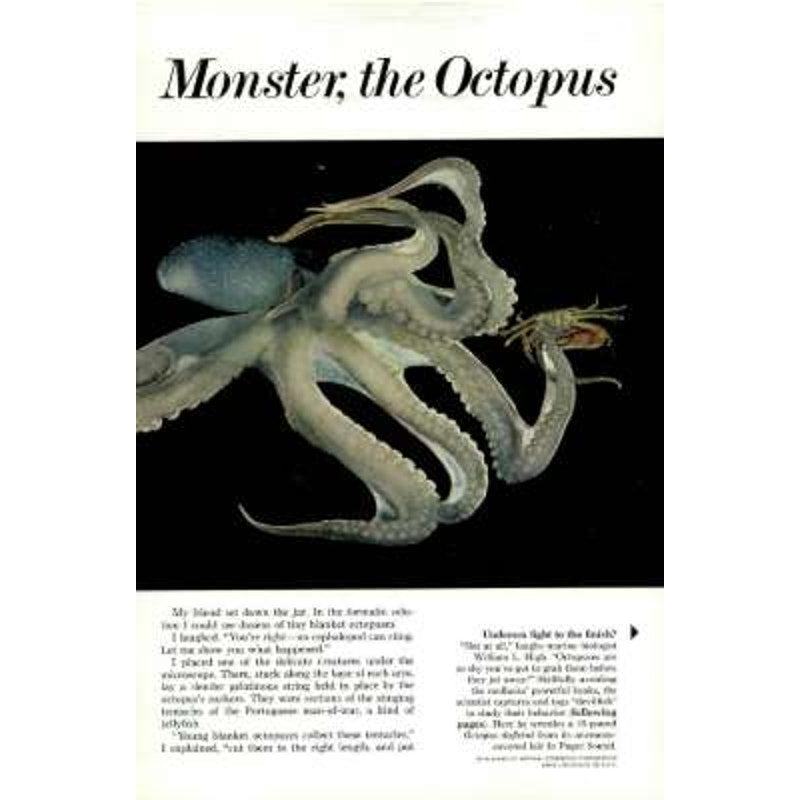 National Geographic Magazine DEC 1971, Zulus, Octopus, China, St Peter's Rome ..