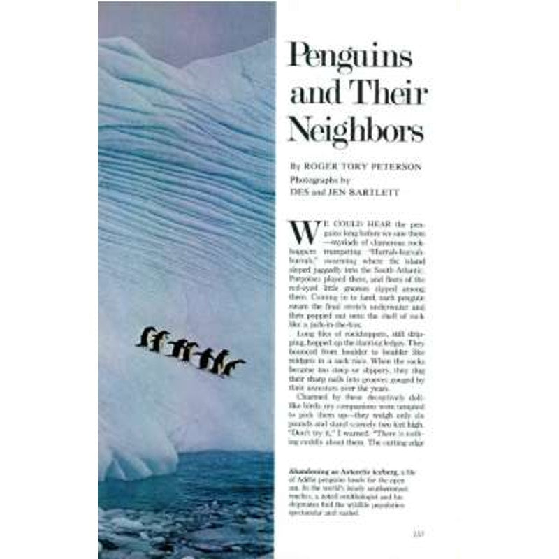 National Geographic Magazine Aug 1977, Air-Safety, W Germany Soviet Union India