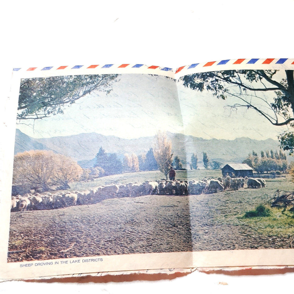 1968 New Zealand 3c Puarangi Airmail Aerogramme Cover to USA Postal History