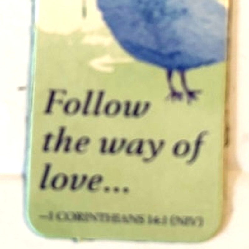 1 Corinthians 14:1 Scripture Magnet Blue Bird Red Flower Christian Inspirational