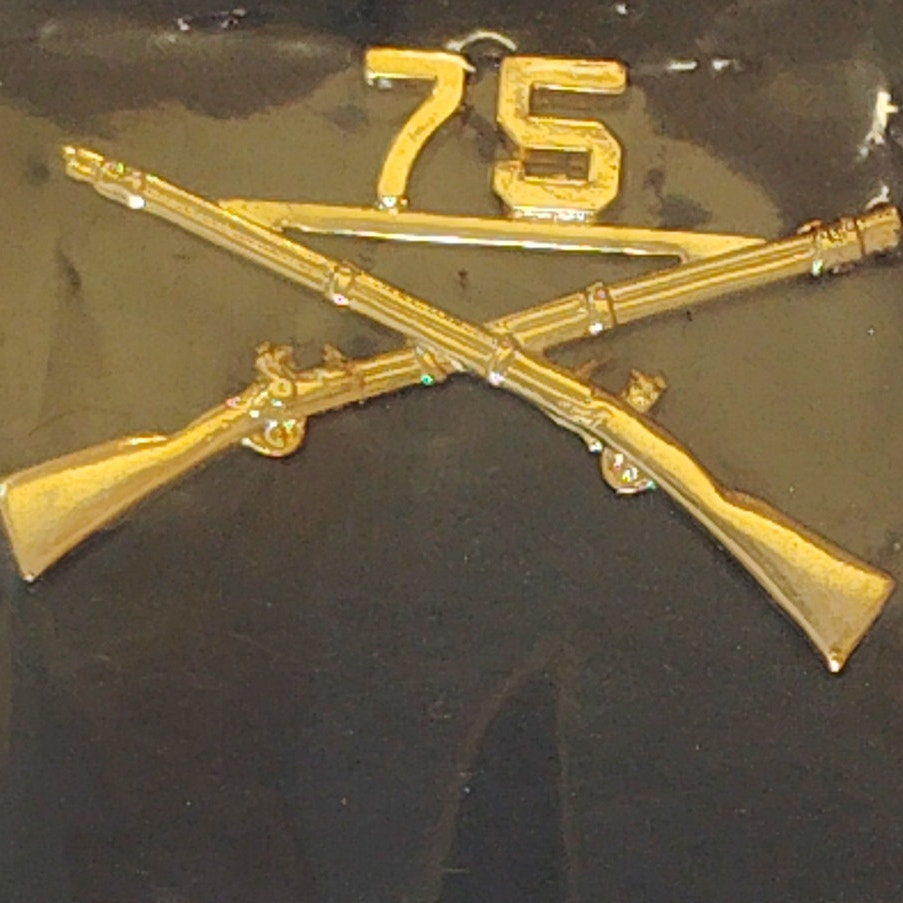 75th Ranger Regiment Infantry Novelty Hat/Lapel/Brooch Pin, Enamel Metal