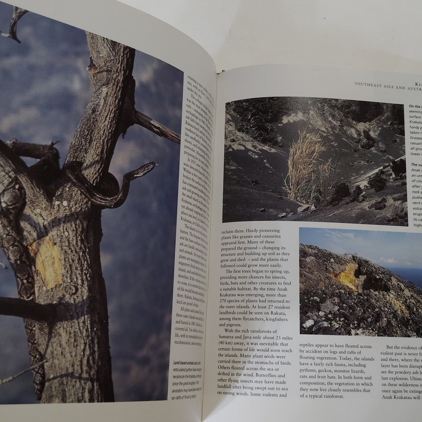 Atlas of Wild Places 1994 Hardcover Nature Photography Book 11.75" x 9.5"