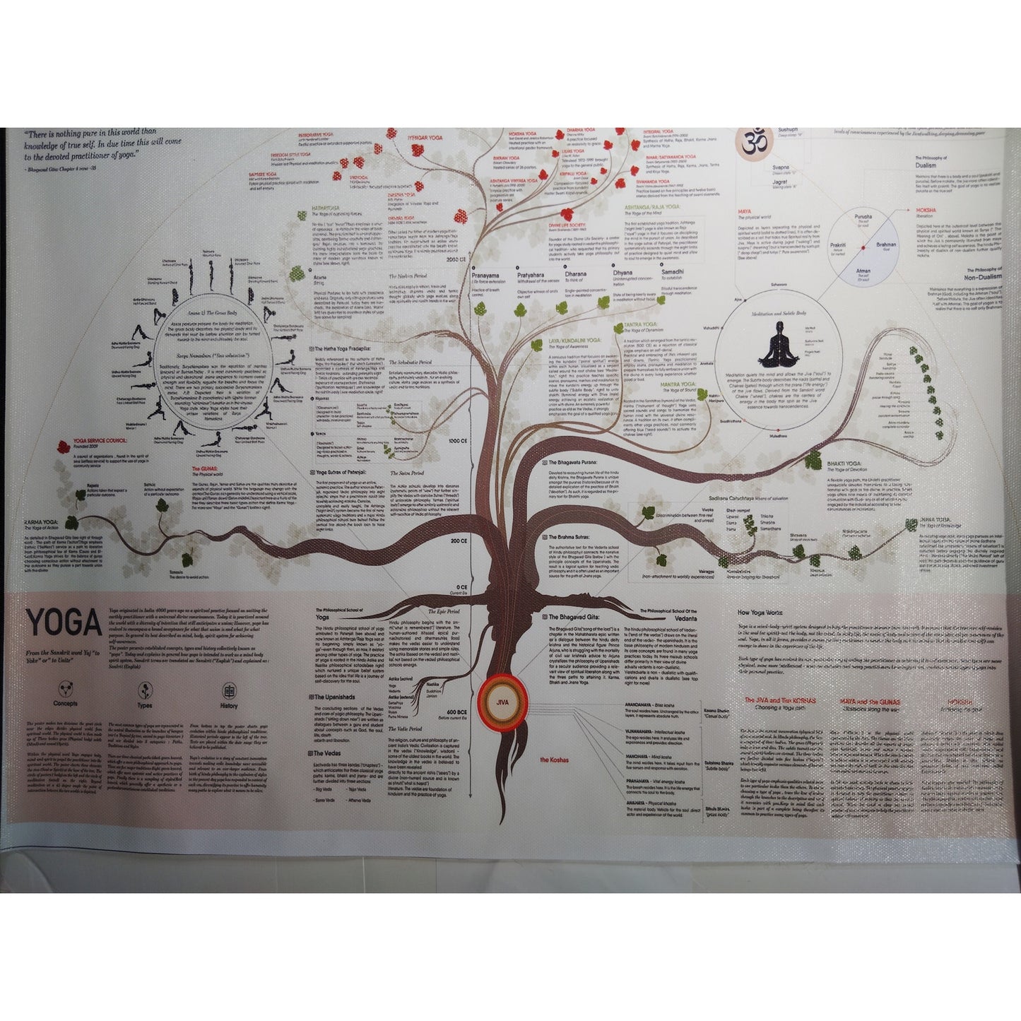 Yoga Tree of Knowledge Poster – Spiritual & Educational Wall Chart (Unframed, 18x12")