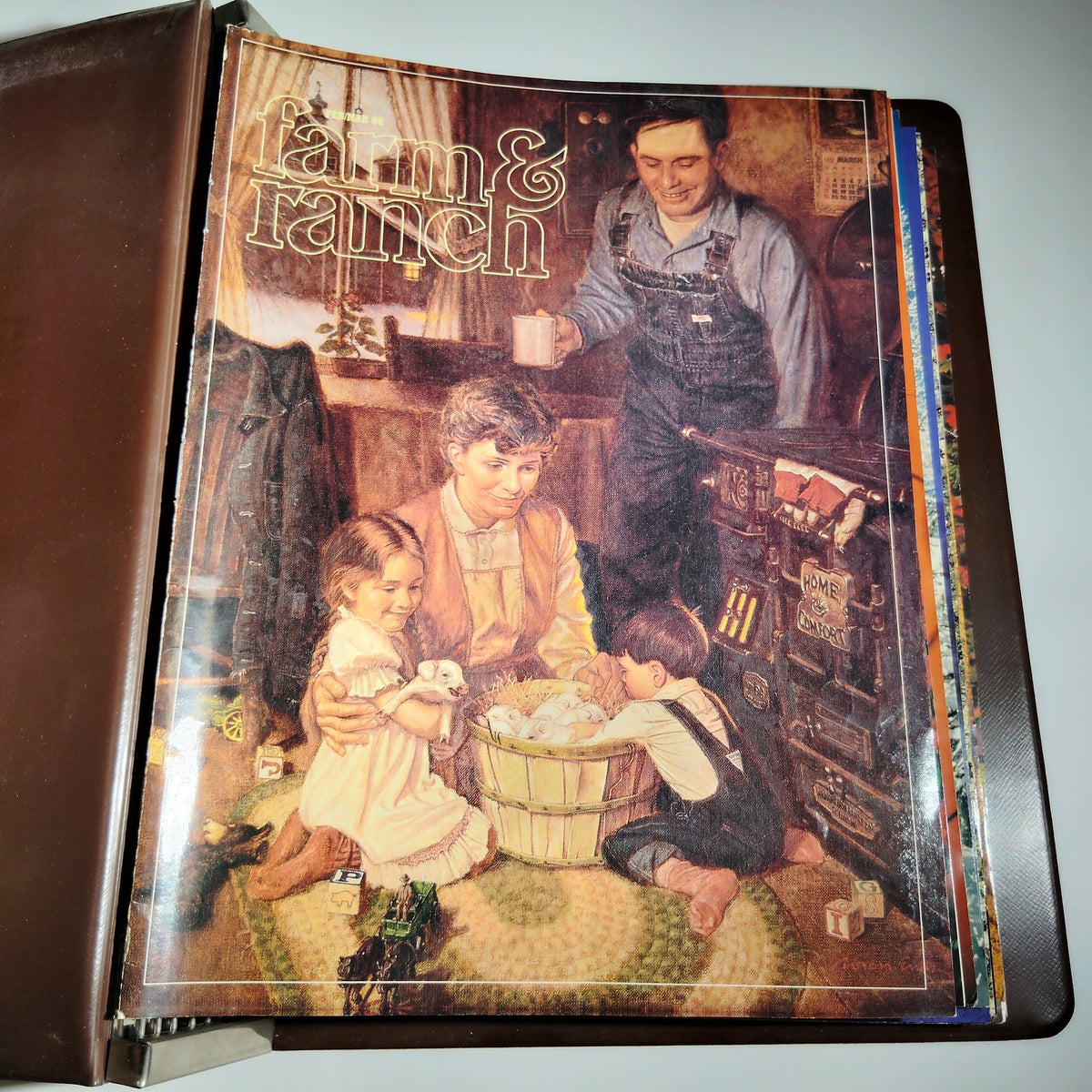 Vintage Farm & Ranch Living 1986-1987 Bound Magazine Lot of 11 in Reiman Binder