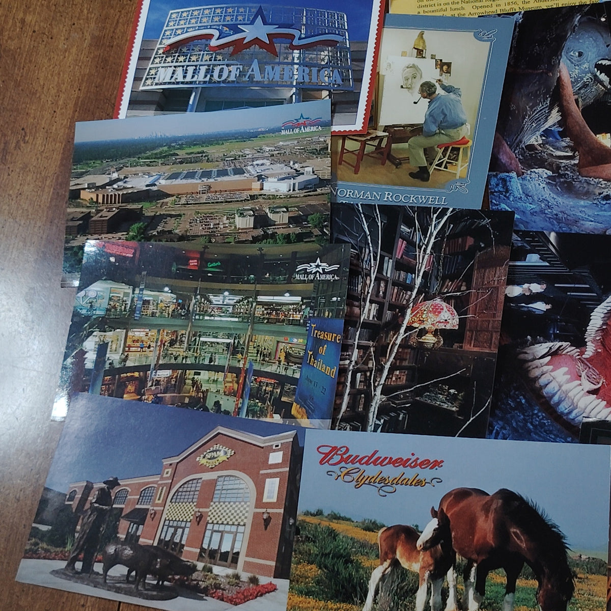 Vintage WI MN ND IA Postcard Lot - Mall of America, Budweiser Clydesdales