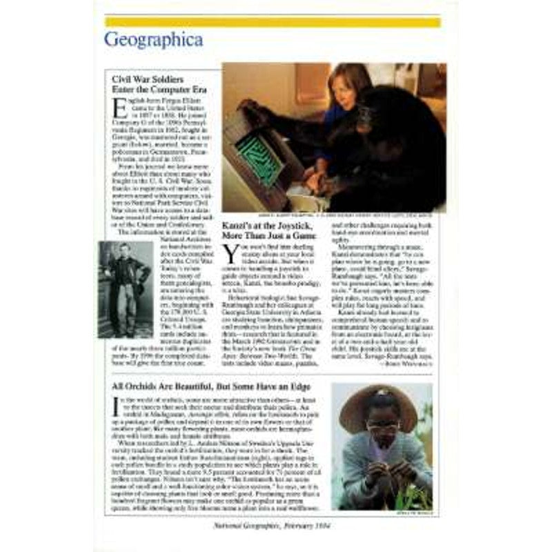 National Geographic Magazine FEB 1994 Canada Rivers, Federal Lands, Connecticut, Sea Turtles: In a Race for Survival, Hunstein Forest