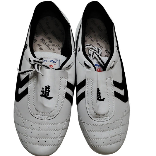 Taekwondo Shoes Size 42 (Us M 9 / W 10.5) w/ Carry Bag Martial Arts Training