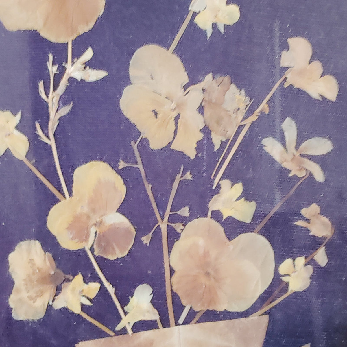 Vintage Oval Gold Frame Pressed Dried Flowers Botanical Wall Art 12x10 Easel